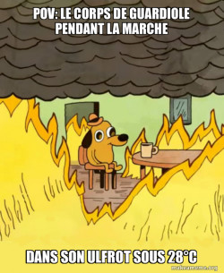 This Is Fine