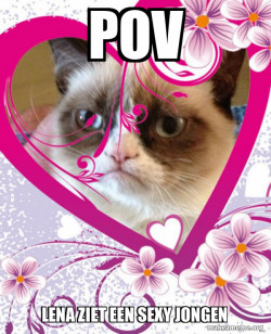 Grumpy cat Valentines Day