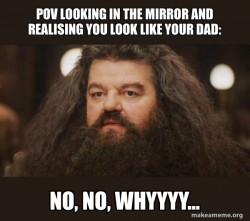 Hagrid - I should not have said that