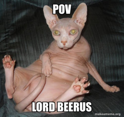 Hairless Cat