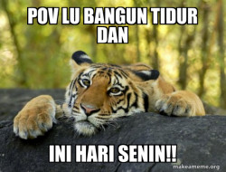 Confession Tiger