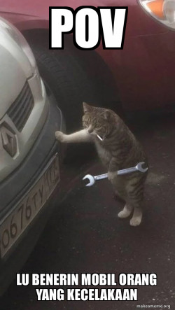 Mechanic Cat