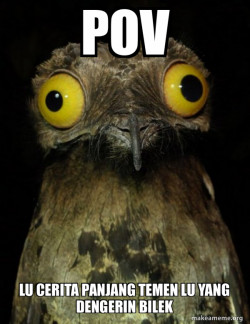 Weird Stuff I do Potoo