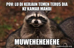 Evil Plotting Raccoon