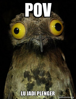 Weird Stuff I do Potoo