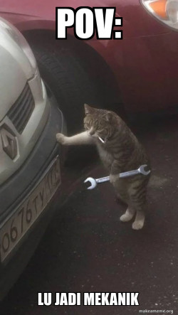 Mechanic Cat