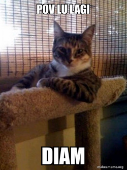 The Most Interesting Cat in the World