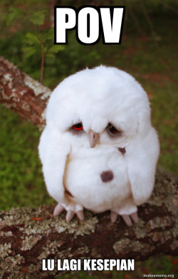 Sad Owl