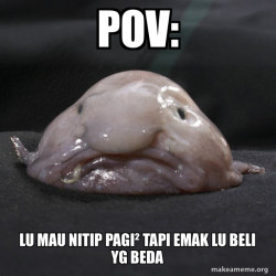 Blobfish