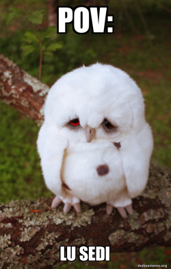 Sad Owl