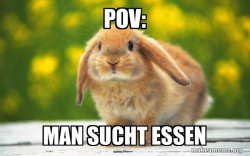 Regretful Rabbit
