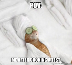 Pampered Cat Meme