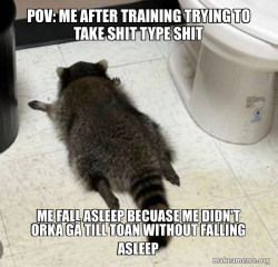 Drunk Raccoon