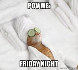 Pampered Cat Meme