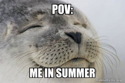 Satisfied Seal