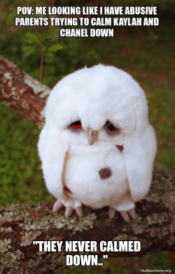 Sad Owl