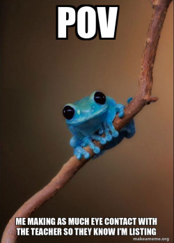 Small Fact Frog