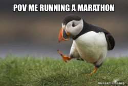 Unpopular Opinion Puffin