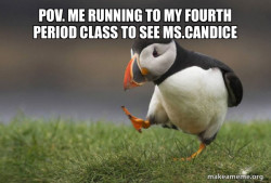 Unpopular Opinion Puffin