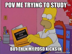 Internets Homer