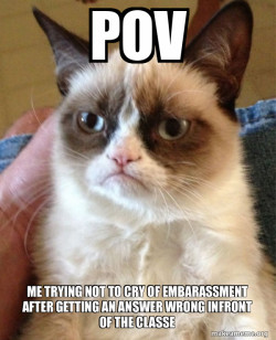 Grumpy Cat