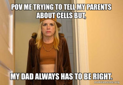 Scumbag Pam Bondi