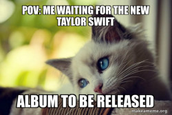 First World Cat Problems
