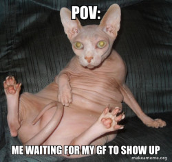 Hairless Cat