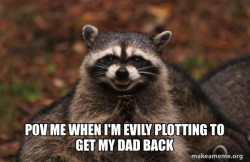 Evil Plotting Raccoon