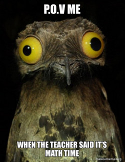 Weird Stuff I do Potoo