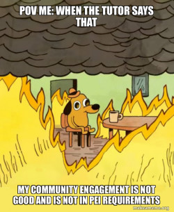 This Is Fine