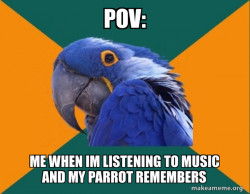 Paranoid Parrot
