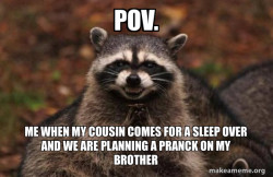 Evil Plotting Raccoon