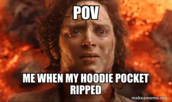 Frodo it's over it's done