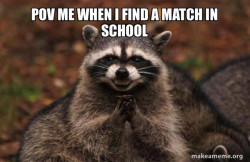 Evil Plotting Raccoon