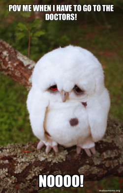 Sad Owl