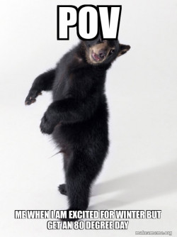 Super Bear'd