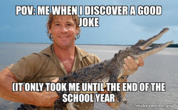 Steve irwin