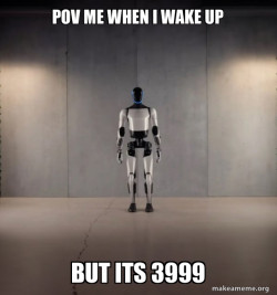 Tesla Robot