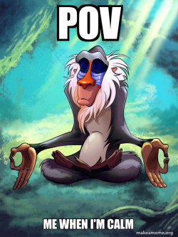 Rafiki Meditating - Lion King