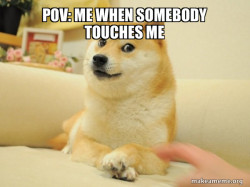 Doge