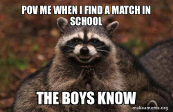 Evil Plotting Raccoon