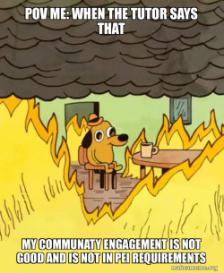 This Is Fine