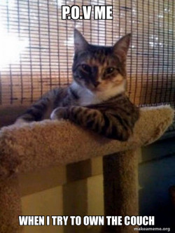 The Most Interesting Cat in the World