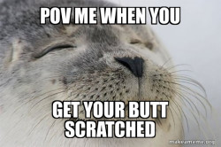 Satisfied Seal