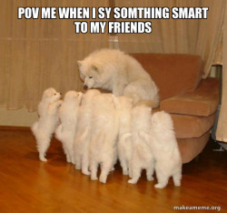Storytelling Dog
