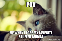 First World Cat Problems