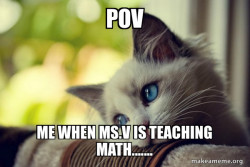 First World Cat Problems