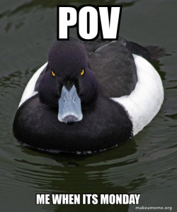 Revenge Duck ( Angry Advice Duck )