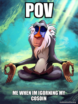 Rafiki Meditating - Lion King